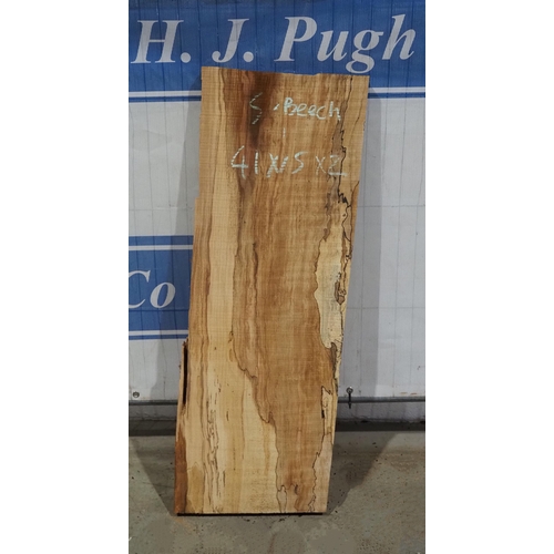 287 - Spalted beech 41