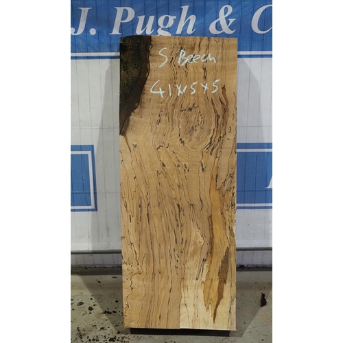 289 - Spalted beech 41