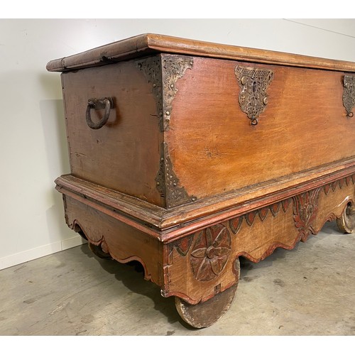 586 - Teak chest on wooden wheels with brass fittings H33