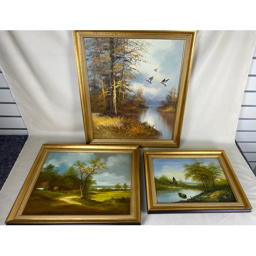 375 - Oil on canvas of nature scenes in gilt frames - 3