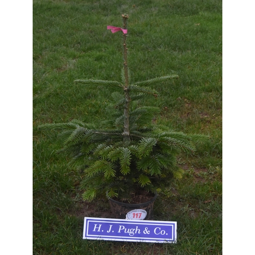 117 - Christmas tree 4ft