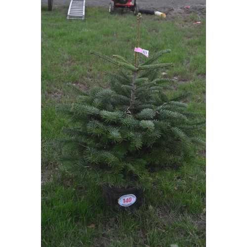 140 - Christmas tree 3ft