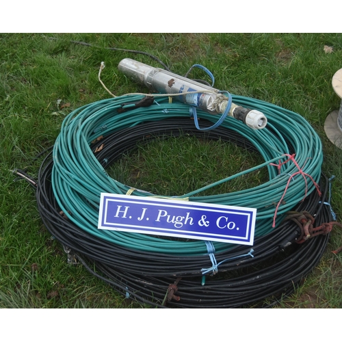 173 - Bore hole pump and electrical cables