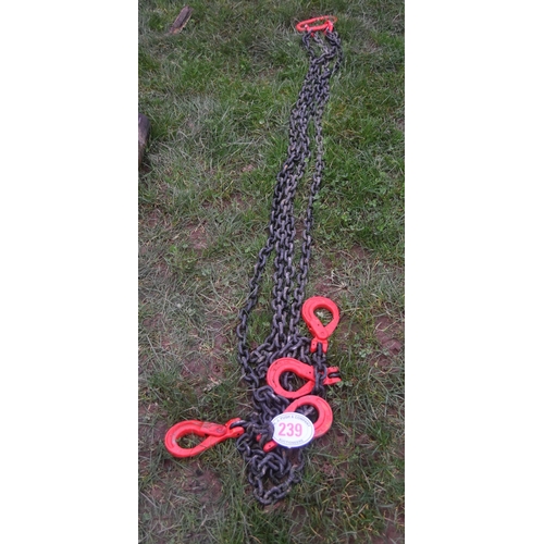 239 - 4 Leg chain