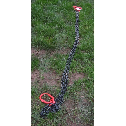 244 - 2 Leg chain