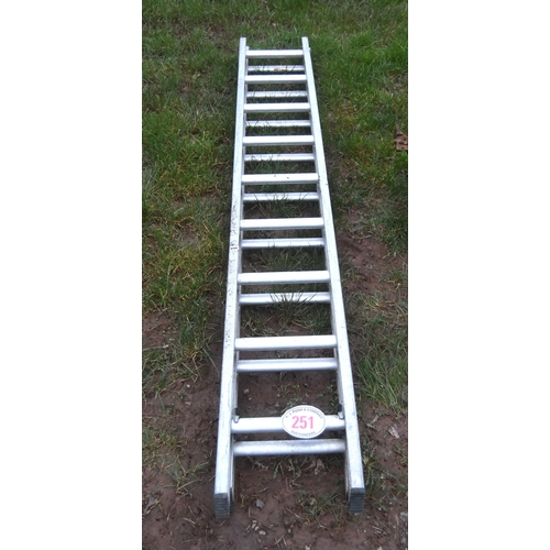 251 - Extending ladder