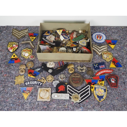 252 - Assorted military metal and fabric badges