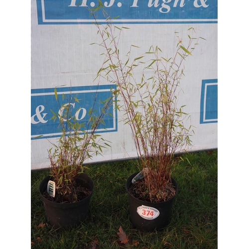 374 - Black Bamboo 3ft - 2