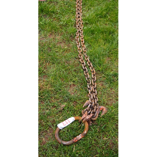113 - Lifting chain
