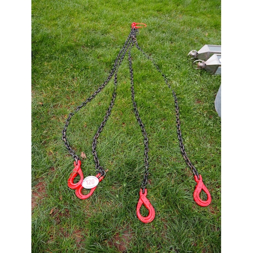 120 - Lifting chains