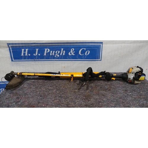 640 - Ryobi combi strimmer/hedgecutter