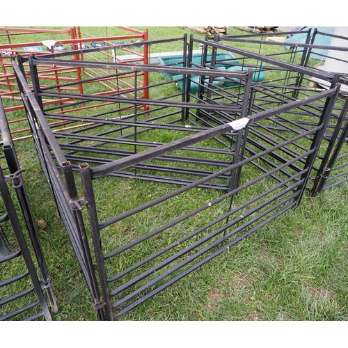 1241 - Black hurdles 5ft - 6