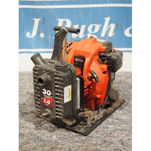 579 - Briggs and Stratton 30 GPM 1.0HP engine