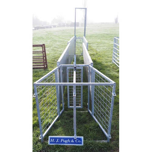 Sheep race, sheeted hurdles 8ft - 4 + drafting gate and guillotine gate