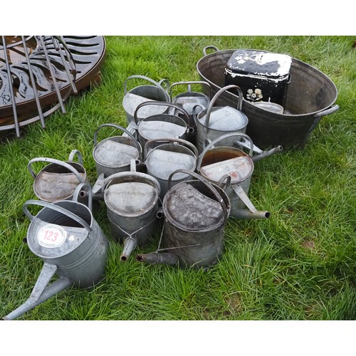 123 - Quantity of galvanised watering, etc.