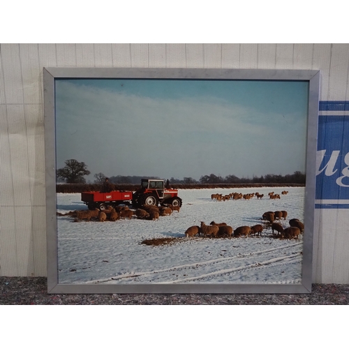 15 - Framed poster - Massey Ferguson 2680 tractor 21 x 24