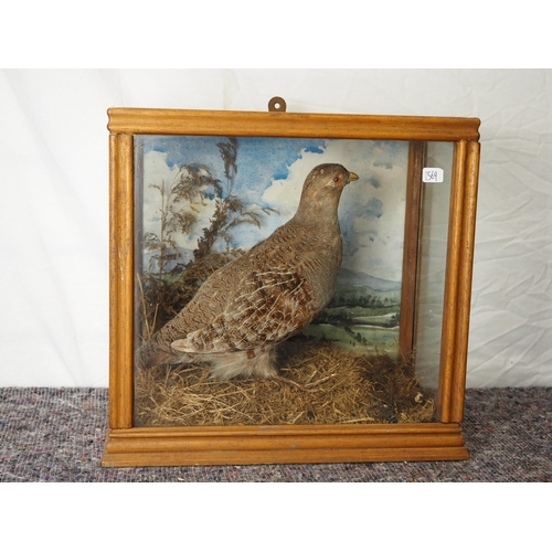 113 - Taxidermy partridge in glass display case