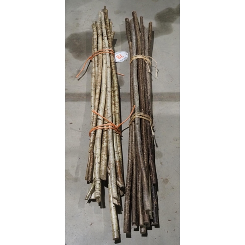 78 - Bundles of seasoned walking stick shanks - 2