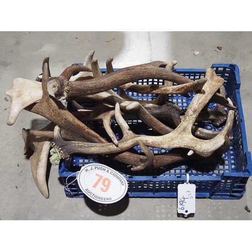 79 - Box of antlers