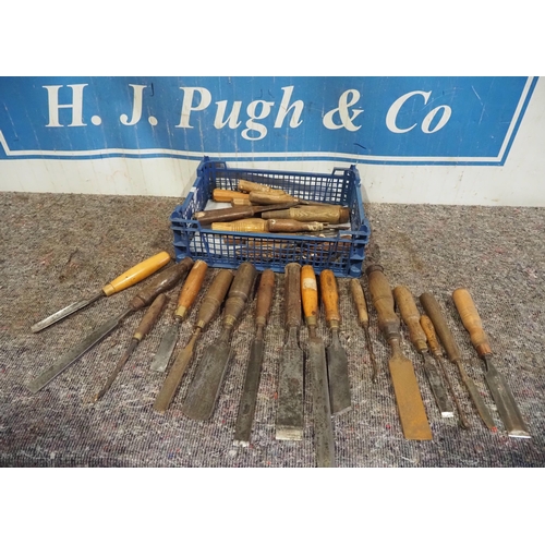 656 - Large quantity of chisels and gouges to include Sorby and Ward