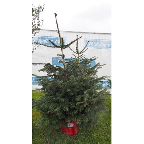 457 - Christmas trees 5ft - 2