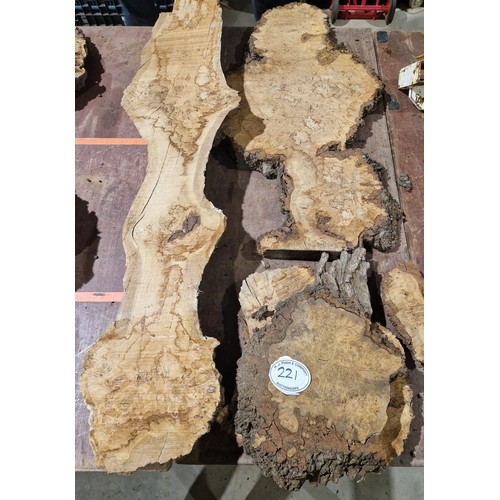 221 - Burr oak pieces