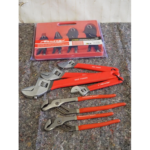 3120 - Mole grips, pliers and spanners