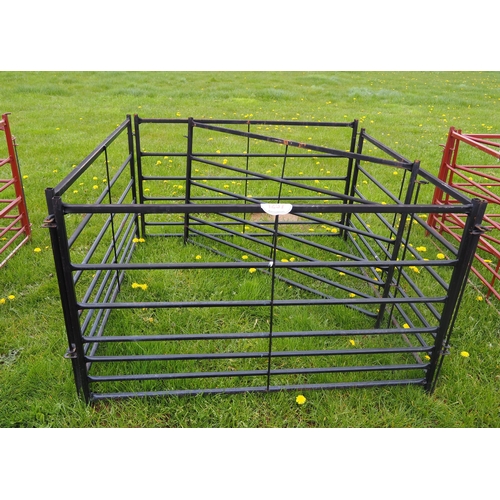 1297 - Black hurdles 5ft - 5