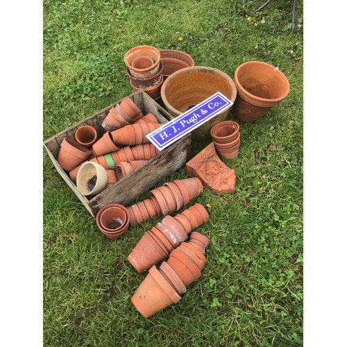 229 - Quantity of terracotta pots