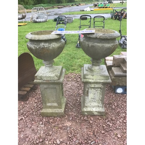 Pair of urns on plinths