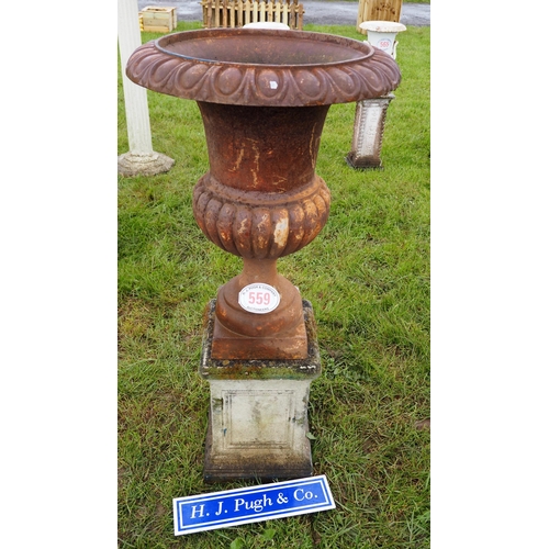 559 - Cast iron urn on base max. 4ft