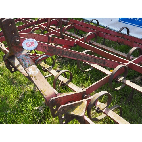 1538 - Massey Ferguson Type 37 folding spring tine cultivator