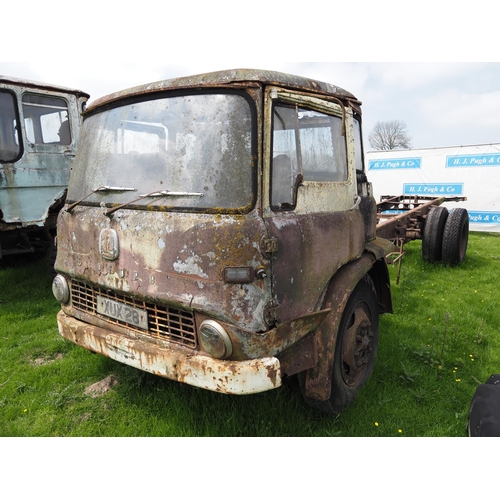 350 - Bedford TK chassis cab. Reg. XUX 28