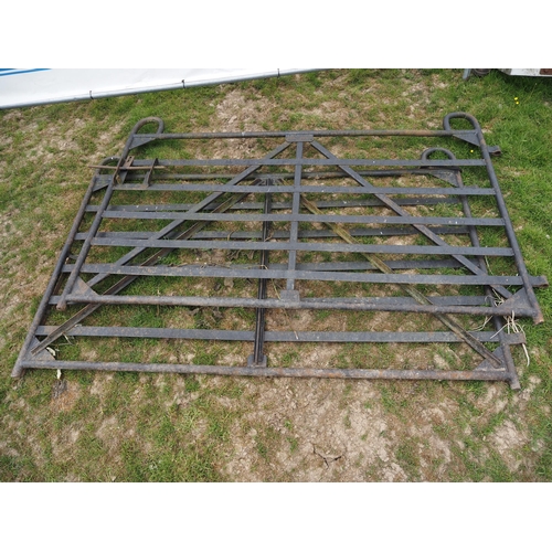 424 - Pair of 6½ft iron gates