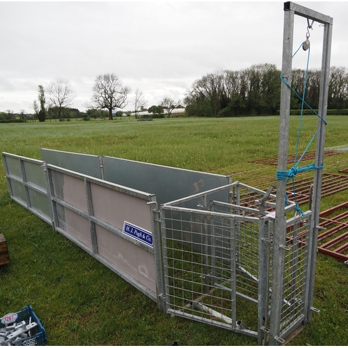 1206 - Sheep race, sheeted hurdles 8ft - 4 + drafting gate and guillotine gate