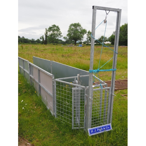 1206 - Sheep race, sheeted hurdles 8ft - 4 + drafting gate and guillotine gate