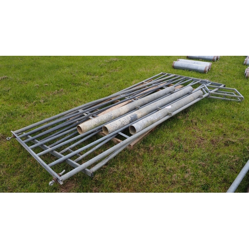 1298 - Galvanised gates 12ft - 2 + posts