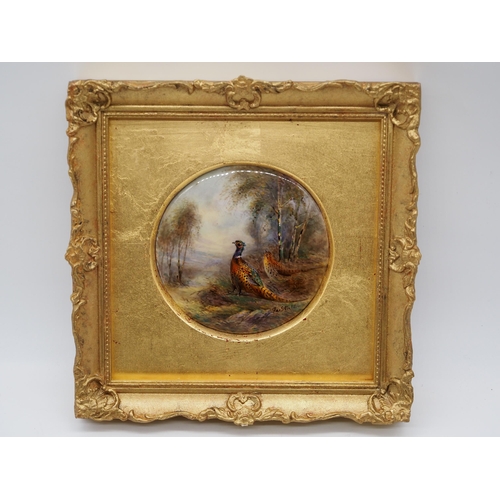 368 - Framed Royal Worcester porcelain plaque of pheasants signed James Stinton 4¼