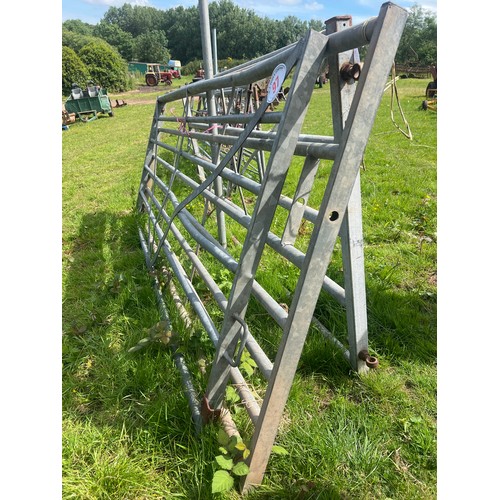 97 - Galvanised field gates 9ft and 10ft