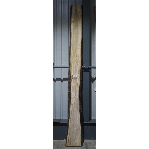 10 - Spalted Beech 148