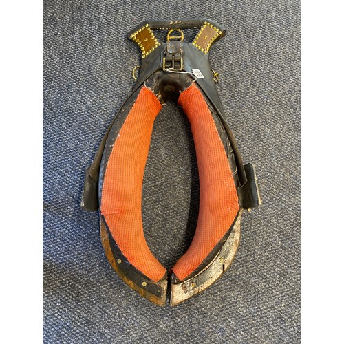 298A - Showmans horse collar