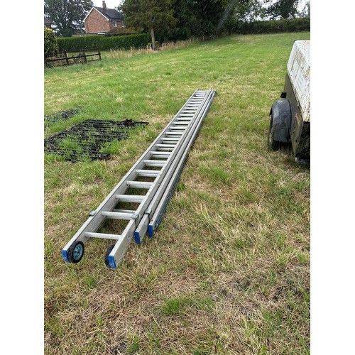 519 - Extending ladder 6 metre