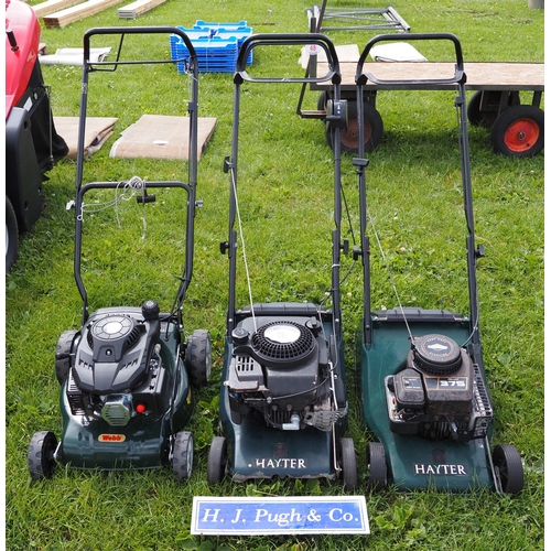 16 - Webb mower and Hayter mowers - 2