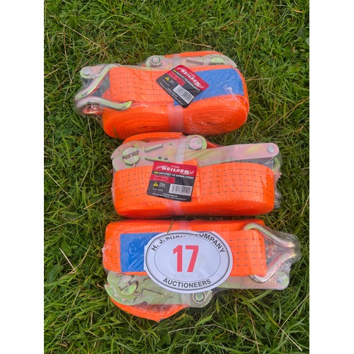 17 - Lorry straps 5 ton, 8m - 3