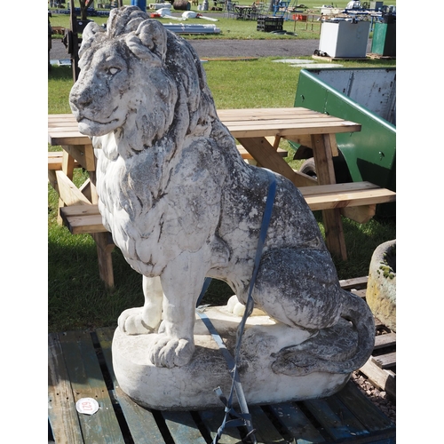 627 - Lion statue approx. 5ft