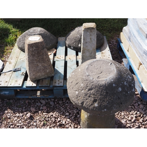 630 - Staddle stones - 3