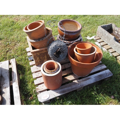 648 - Various terracotta pots