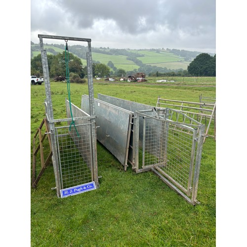 116 - Sheep race to include guillotine gate, drafting gate, sheeted hurdles 10ft - 3 and sheeted hurdles 8... 