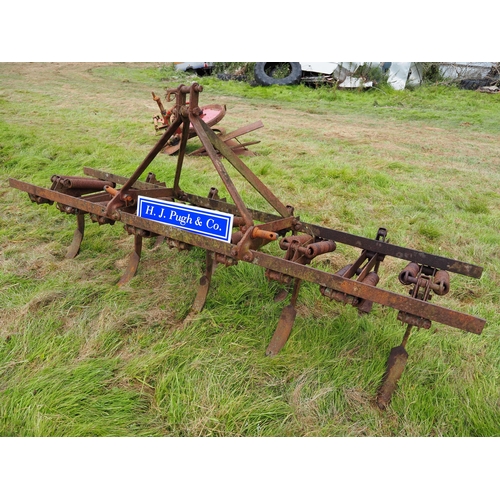 8 - Ferguson spring tine cultivator. Badged