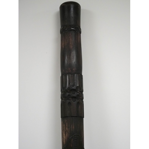 48 - Carved didgeridoo with case